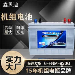 机组电池6-FNM-930G