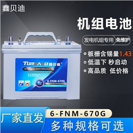 机组电池6-FNM-670G