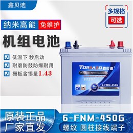 机组电池6-FNM-450G