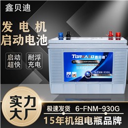 发电机启动电池6-FNM-930G