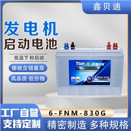发电机启动电池6-FNM-830G