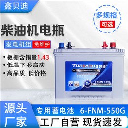 柴油机电瓶6-FNM-550G