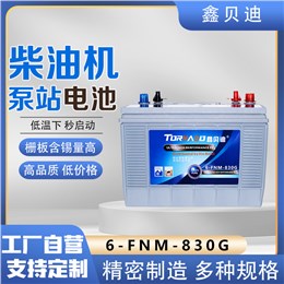 柴油机泵站电池6-FNM-830G