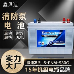 消防泵电池6-FNM-930G