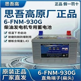 思吾高蓄电池 6-FNM-930G