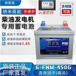 思吾高蓄电池 6-FNM-450G