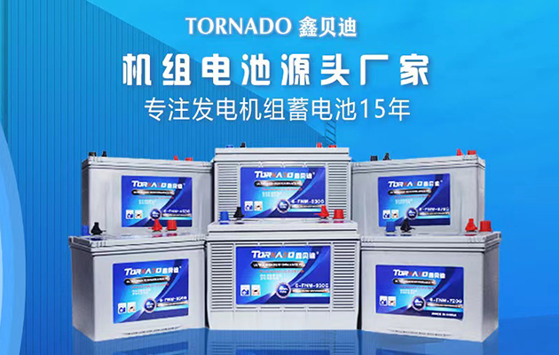 思吾高柴油发电机组蓄电