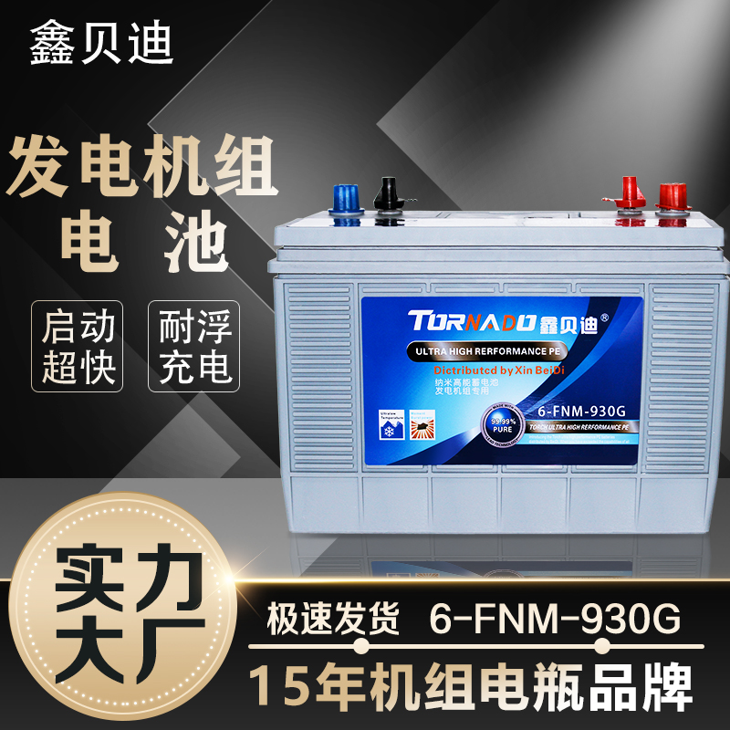发电机组电池6-FNM-930G