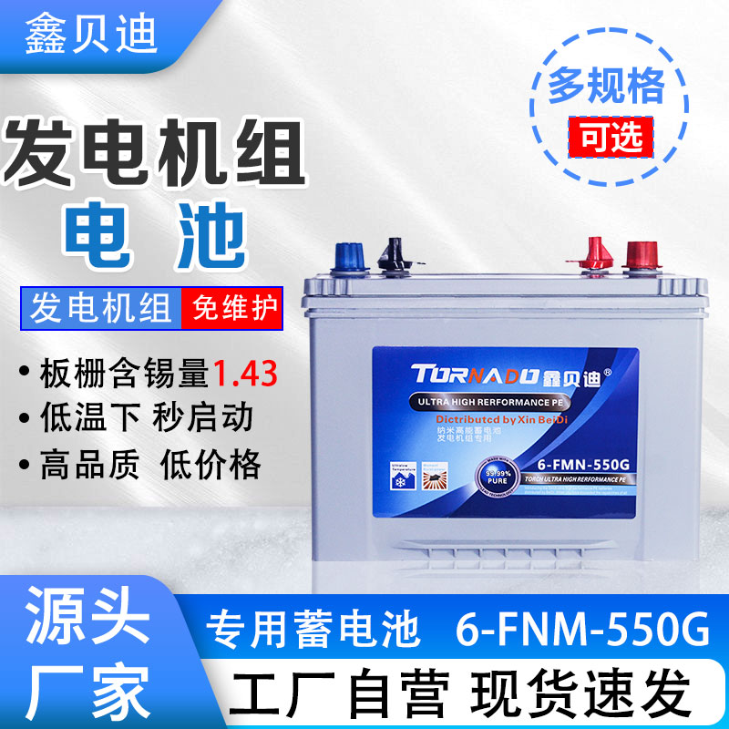 发电机组电池6-FNM-550G