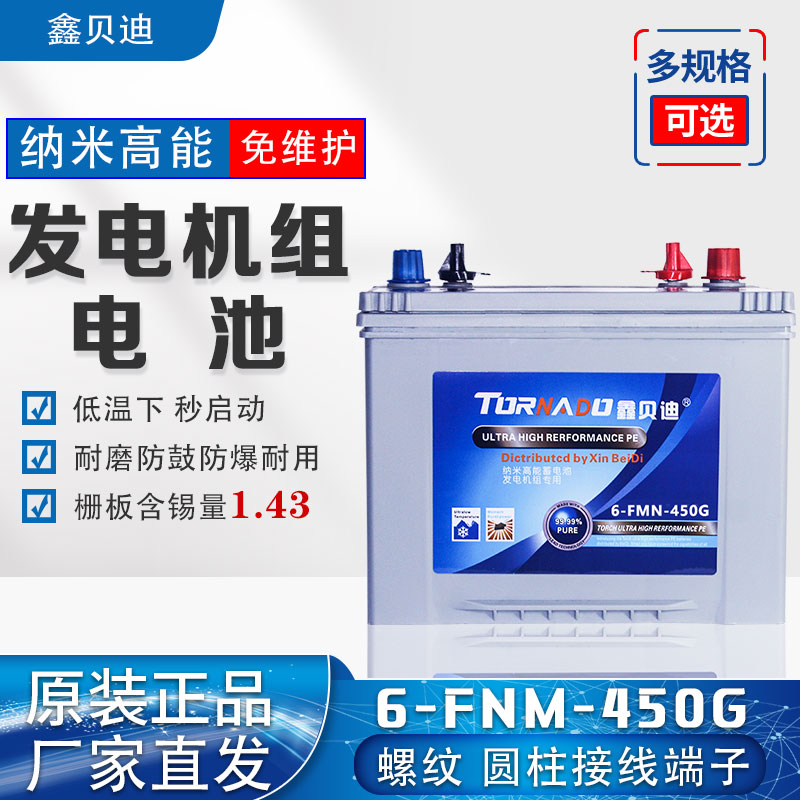 发电机组电池6-FNM-450G