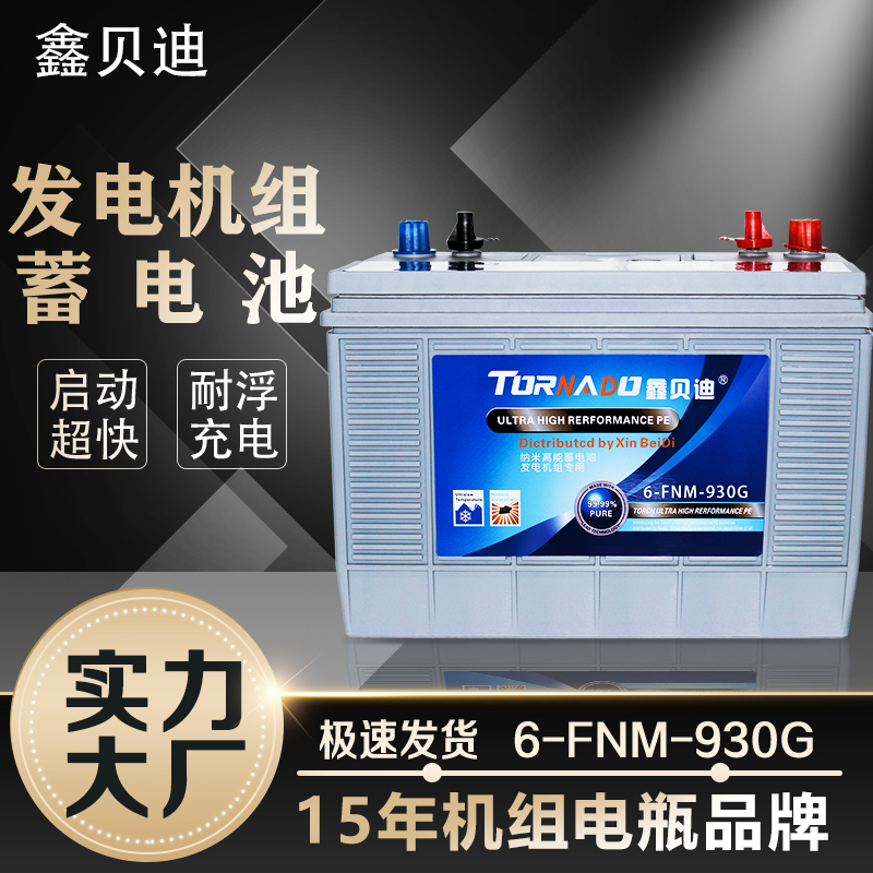 发电机组蓄电池6-FNM-930G