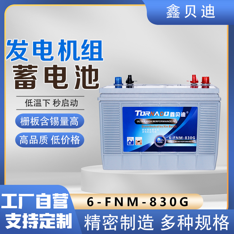 发电机组蓄电池6-FNM-830G