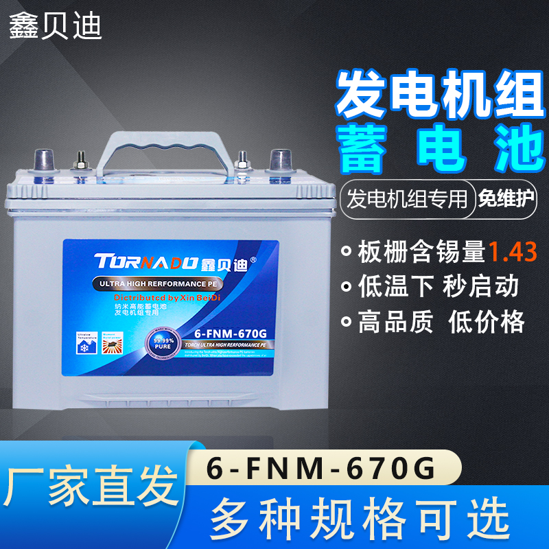 发电机组蓄电池6-FNM-670G
