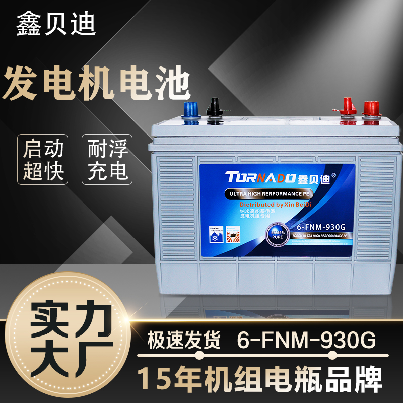 发电机电池6-FNM-930G