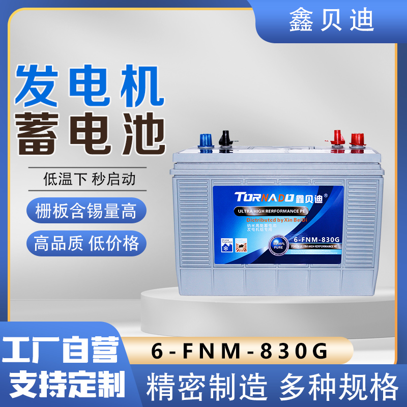 发电机蓄电池6-FNM-830G