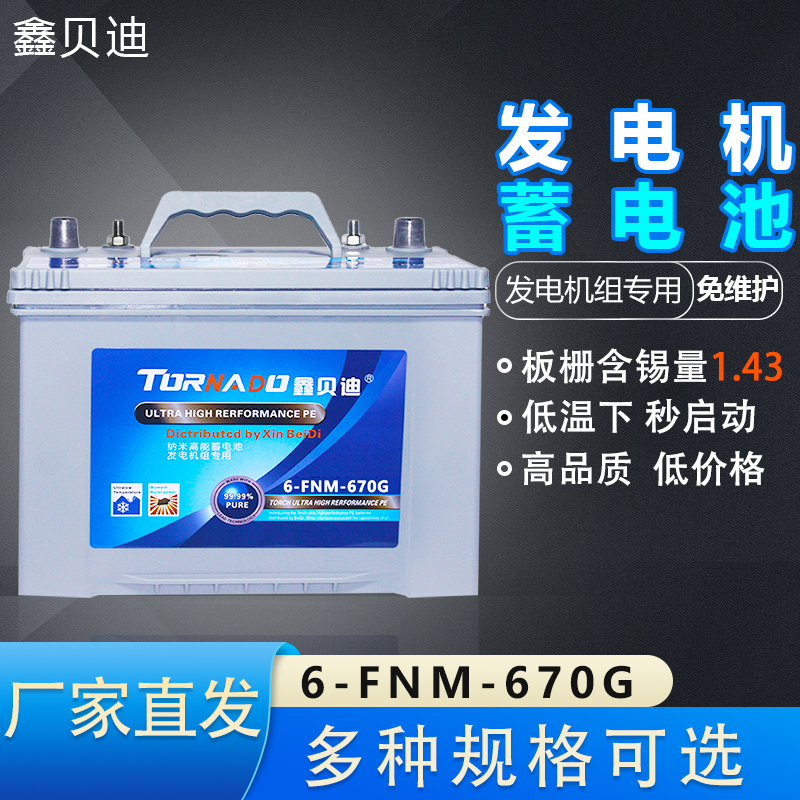 发电机蓄电池6-FNM-670G