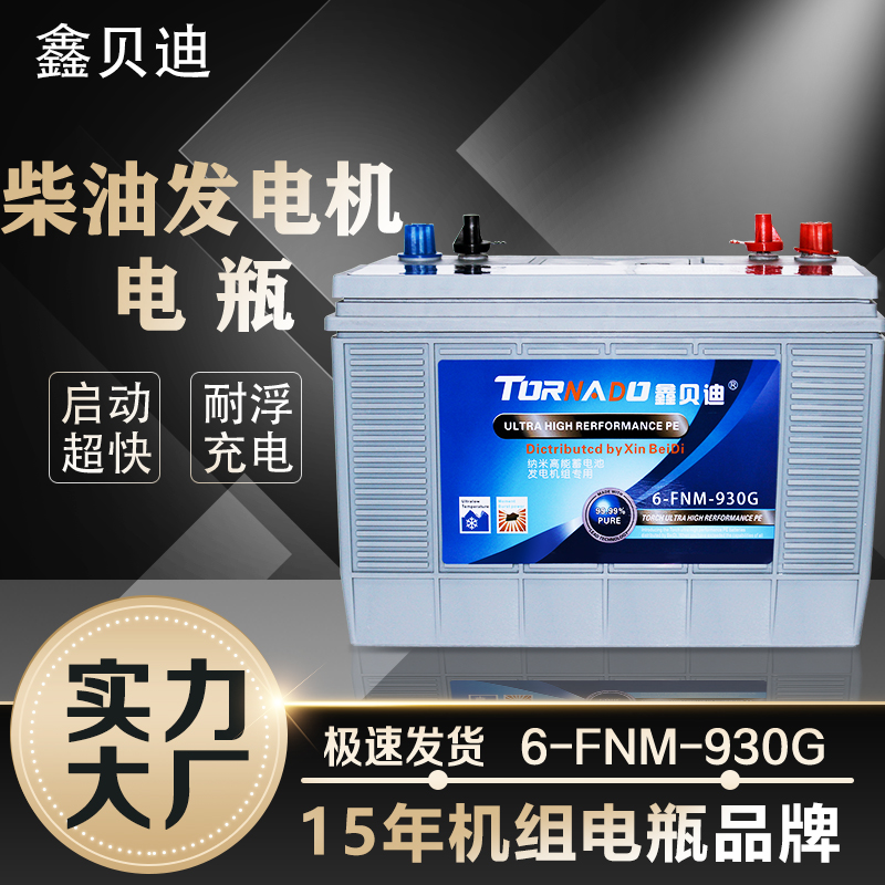 柴油发电机电瓶6-FNM-930G