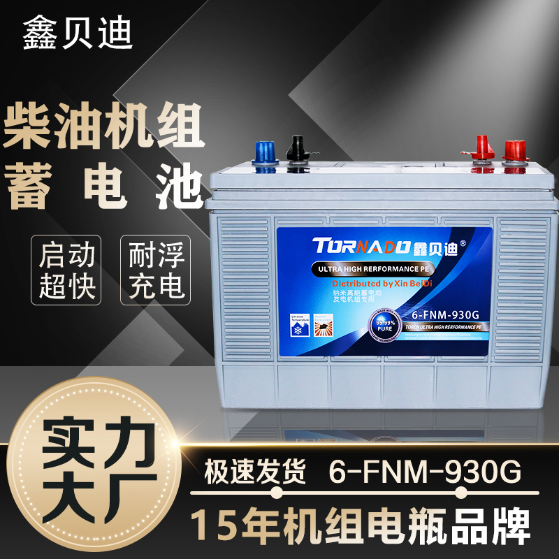 柴油机组蓄电池6-FNM-930G