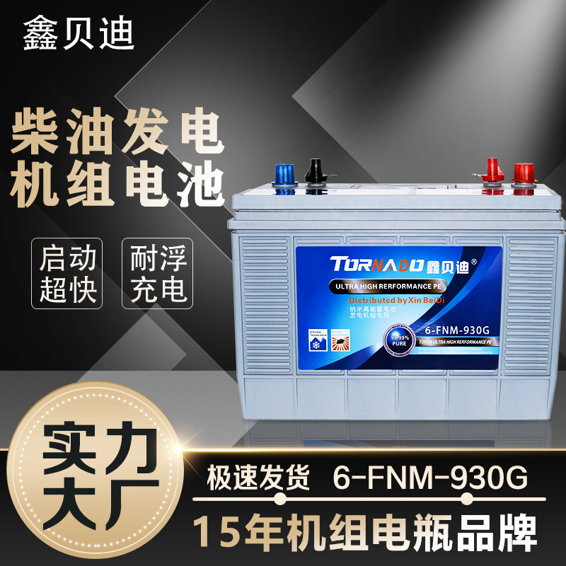 柴油发电机组电池6-FNM-930G