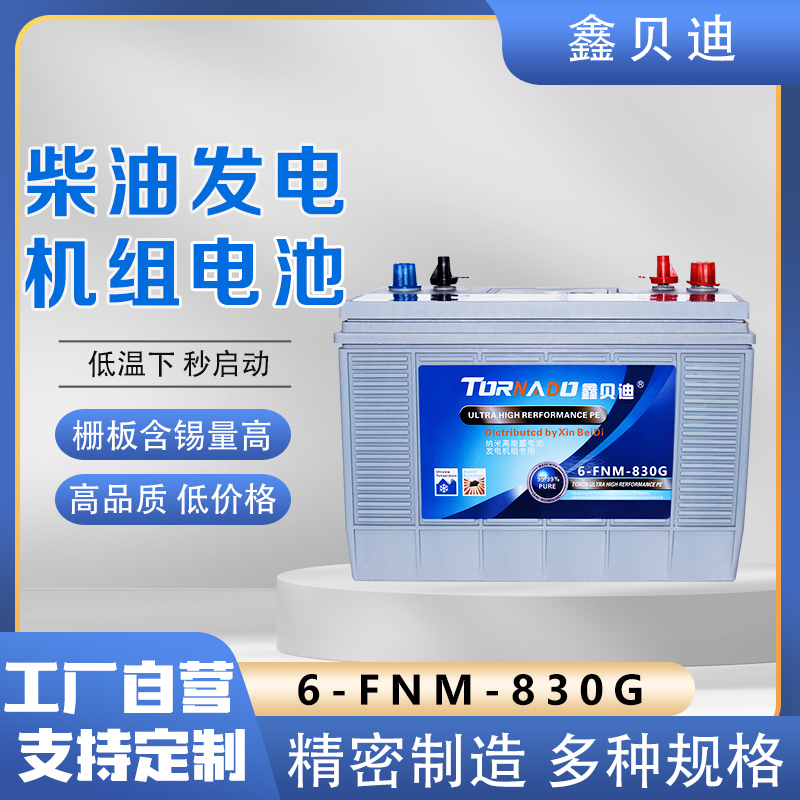 柴油发电机组电池6-FNM-830G