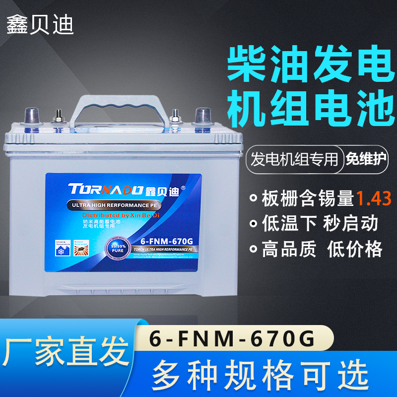 柴油发电机组电池6-FNM-670G