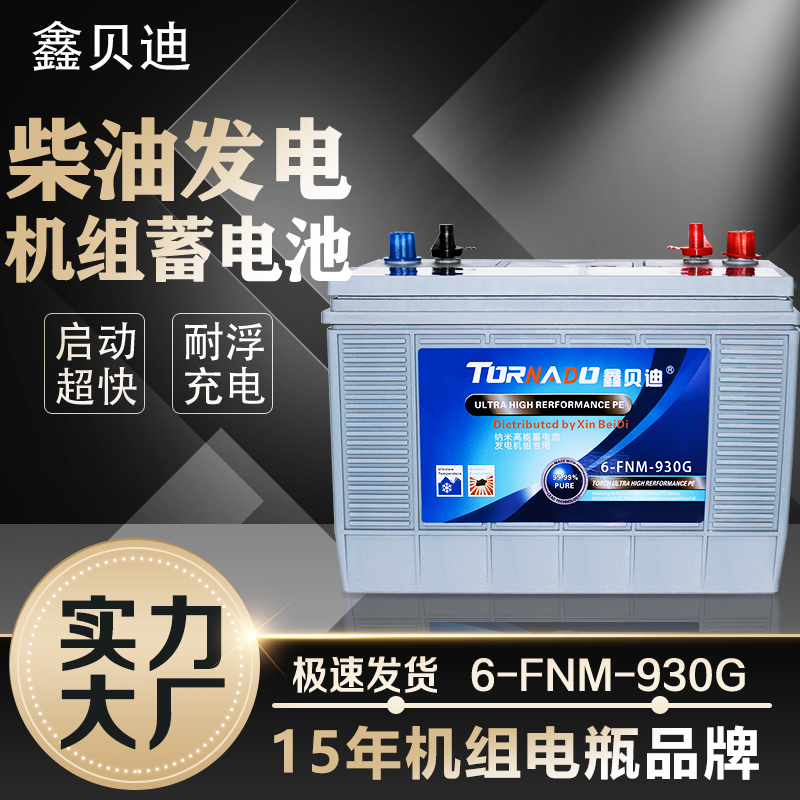 柴油发电机组蓄电池6-FNM-930G