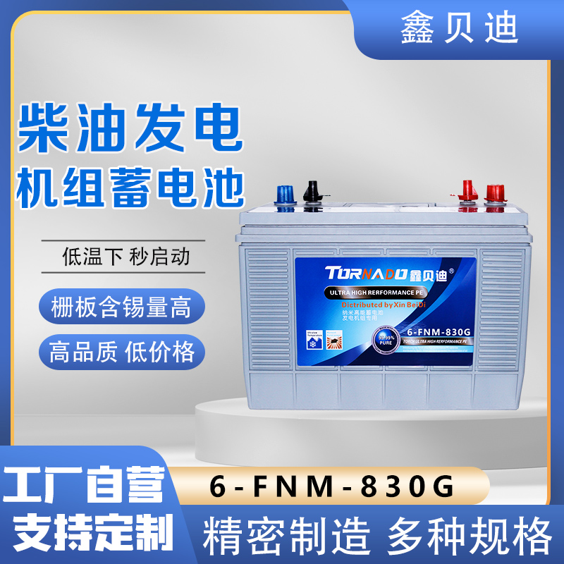 柴油发电机组蓄电池6-FNM-830G