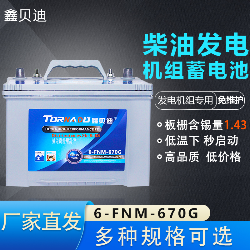 柴油发电机组蓄电池6-FNM-670G