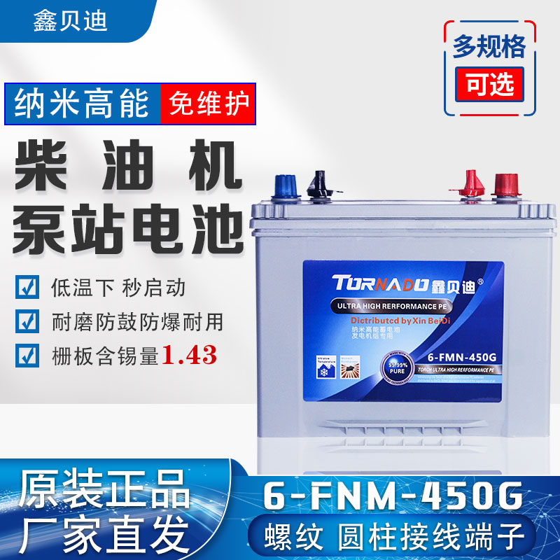 柴油机泵站电池6-FNM-450G